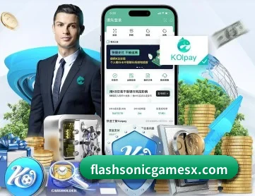 半岛网页 APP