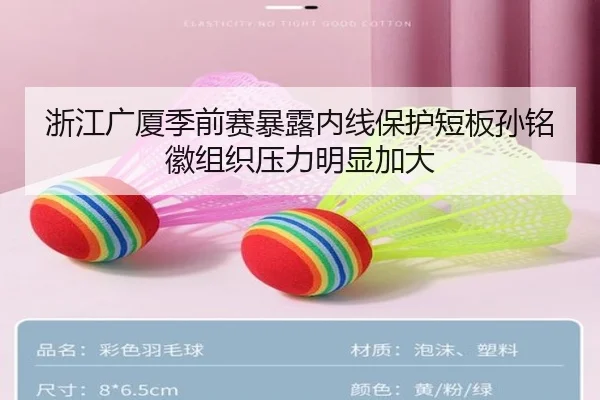 浙江广厦季前赛暴露内线保护短板孙铭徽组织压力明显加大